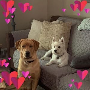 Meet your Posher, Donna